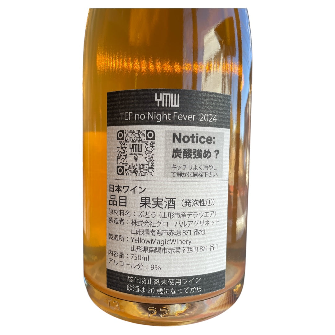 TEF no Night Fever 2024