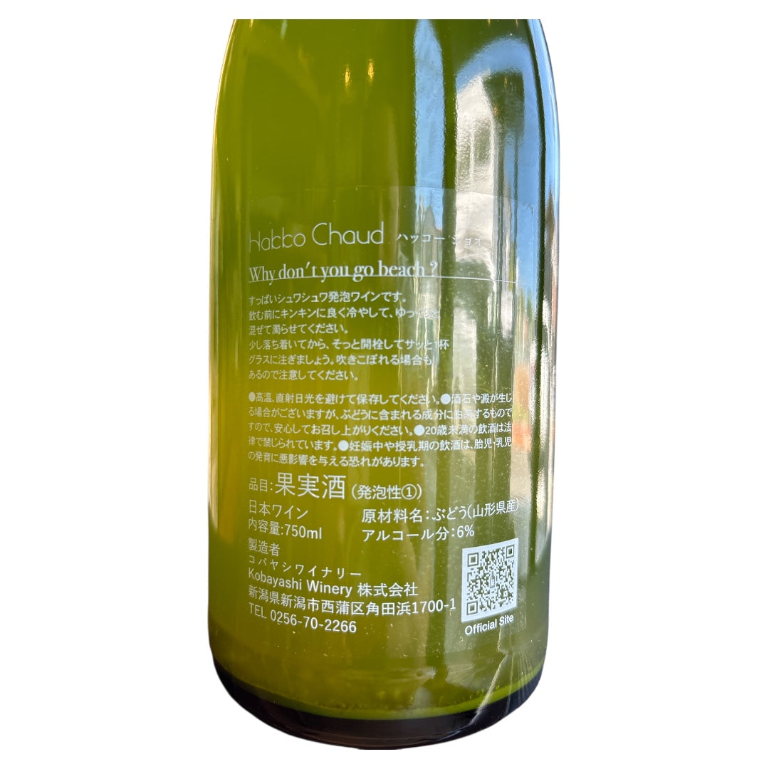 Why don't you go beach ? / ビーチ行かない?