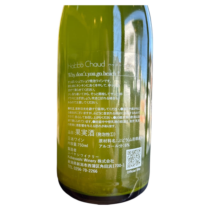 Why don't you go beach ? / ビーチ行かない?