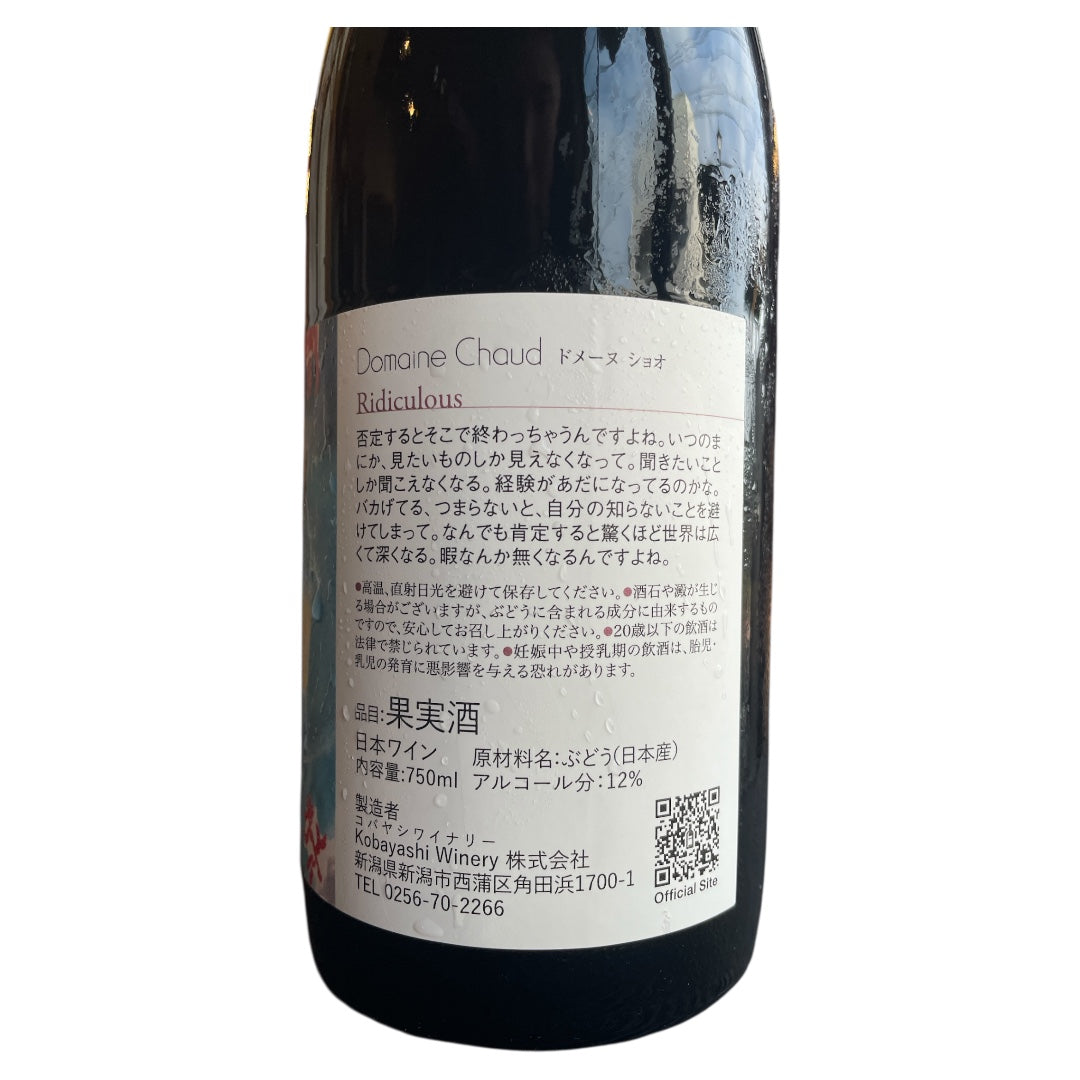 Ridiculous 2023 / くだらない