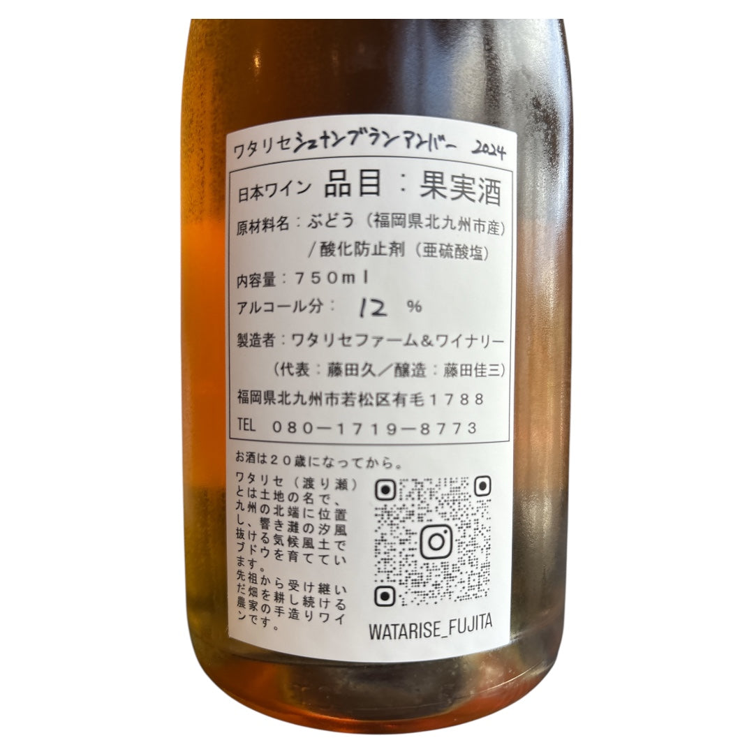 シュナンブラン アンバー