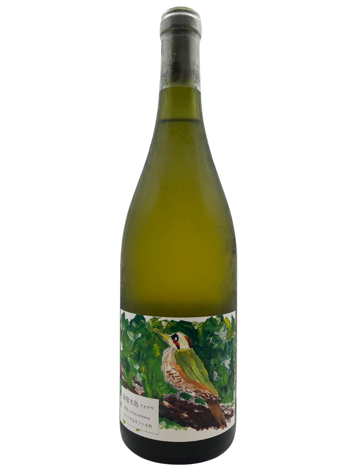 緑啄木鳥(あおげら)