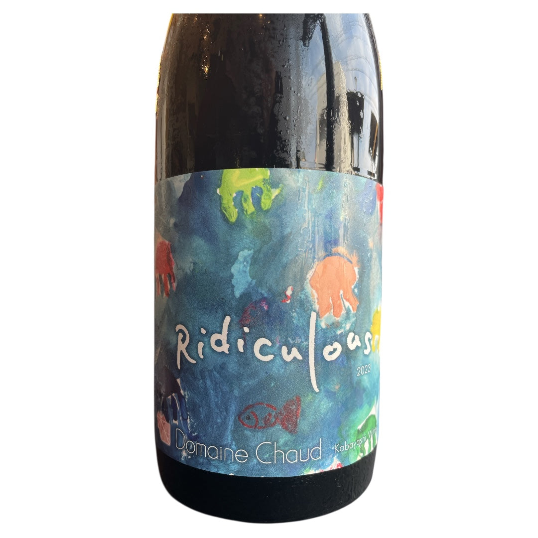 Ridiculous 2023 / くだらない