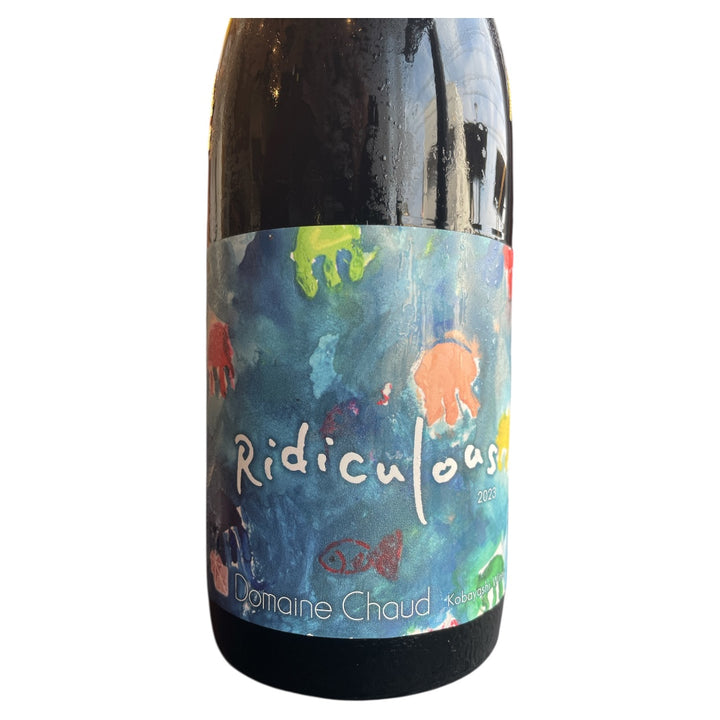 Ridiculous 2023 / くだらない