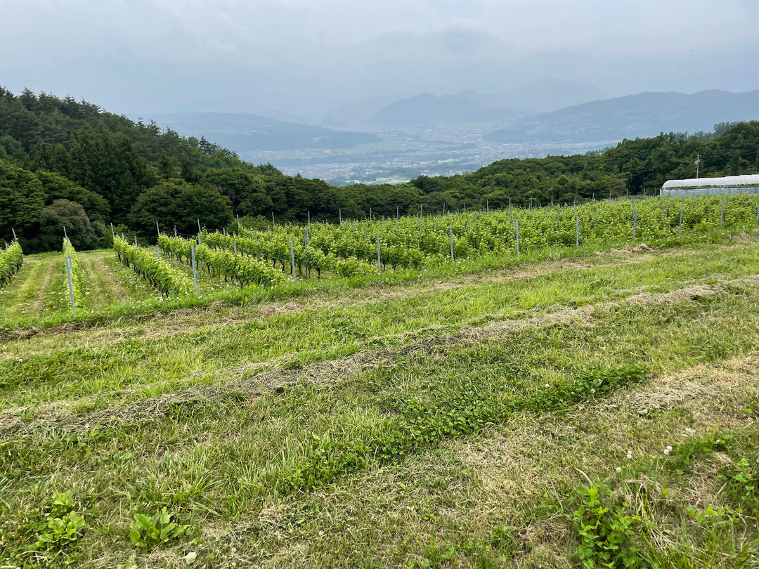 villadest-gardenfarm&winery