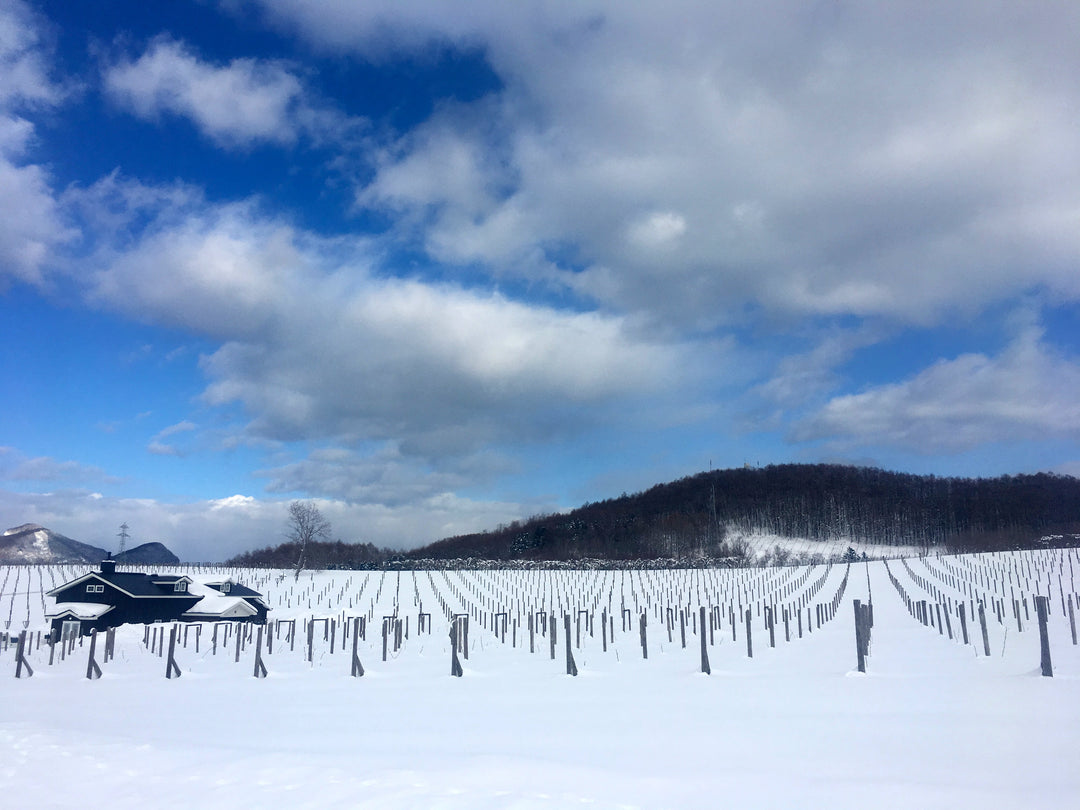 平川ワイナリー