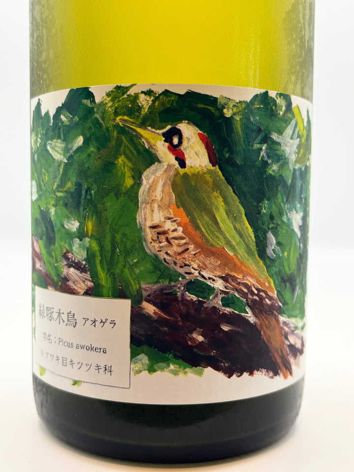 緑啄木鳥(あおげら)