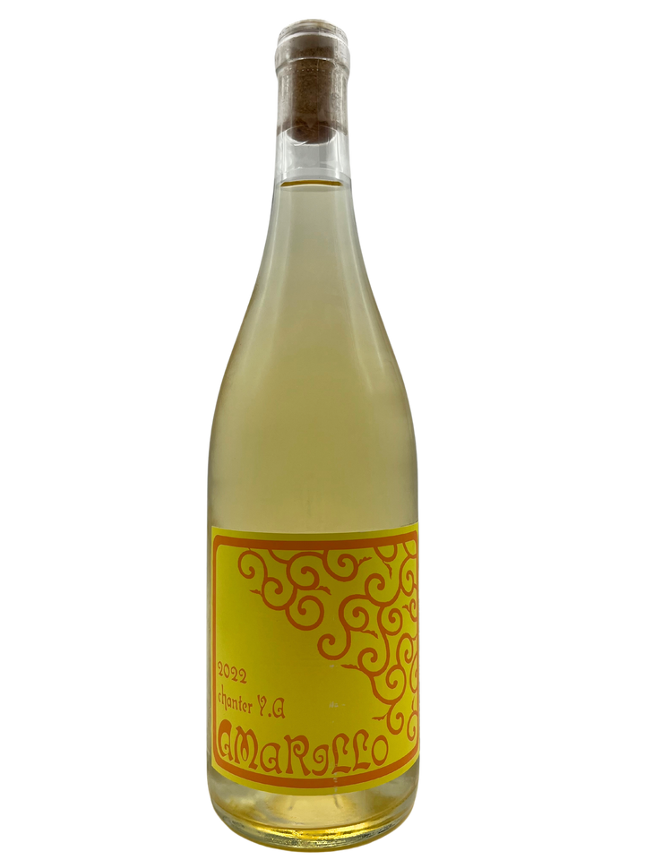 シャンテY.A アマリージョ