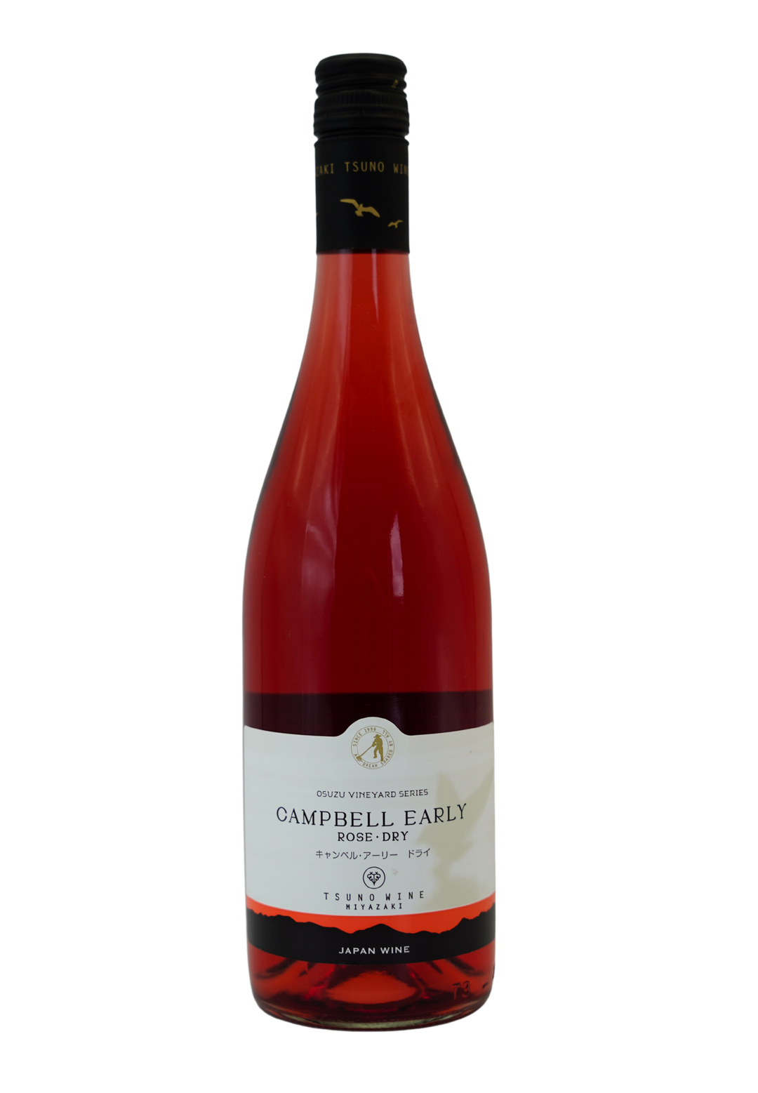 キャンベル・アーリー ドライ