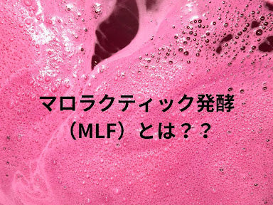ワインの製法「マロラクティック発酵」はどんな手法？その効果は？