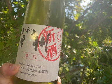 日本ワインの新酒とは？時期や特徴について解説