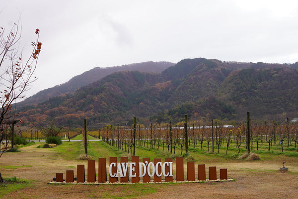 カーブドッチ（新潟県）