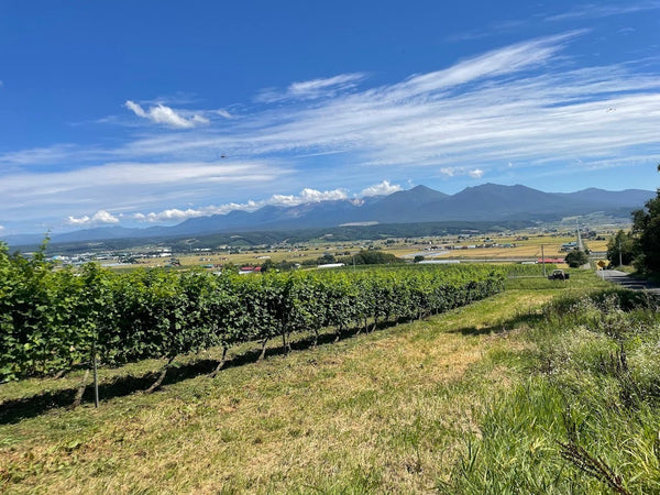 北海道フェア