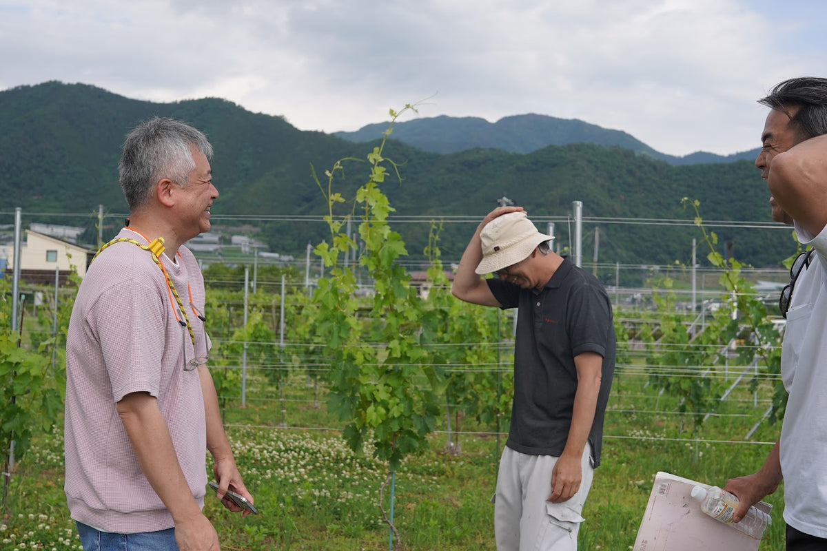 一本のワインができるまで。ワインを飲む人から、ワインに関わる人へ。